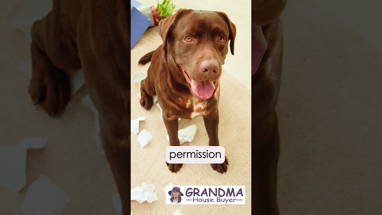 Tired Landlord in Houston? Sell Your Rental Property Fast — Even With Tenants